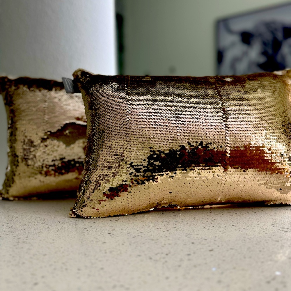 Aviva Stanoff accent Feather down pillow